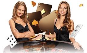 Live Casino Studio ထဲမှ Professional Dealer ကစားဖိတ်နေမှု